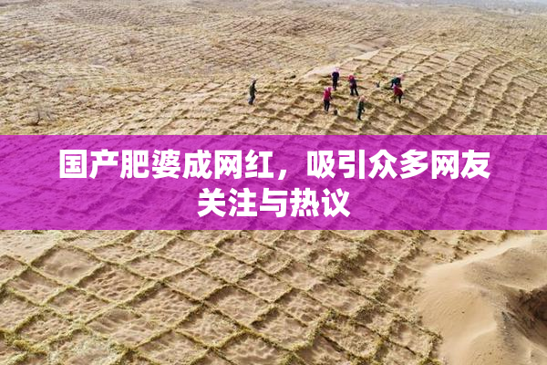 国产肥婆成网红，吸引众多网友关注与热议