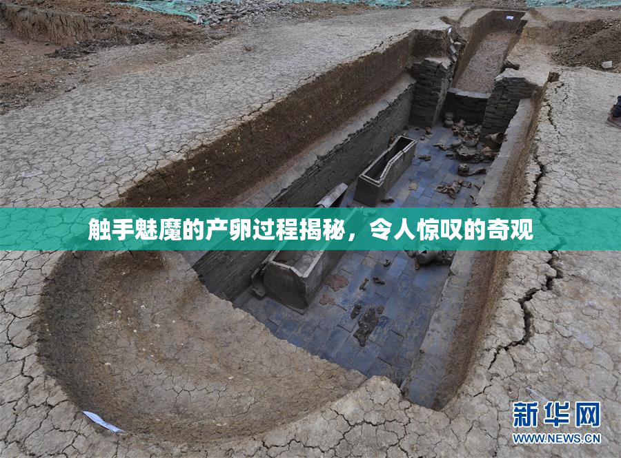 触手魅魔的产卵过程揭秘，令人惊叹的奇观