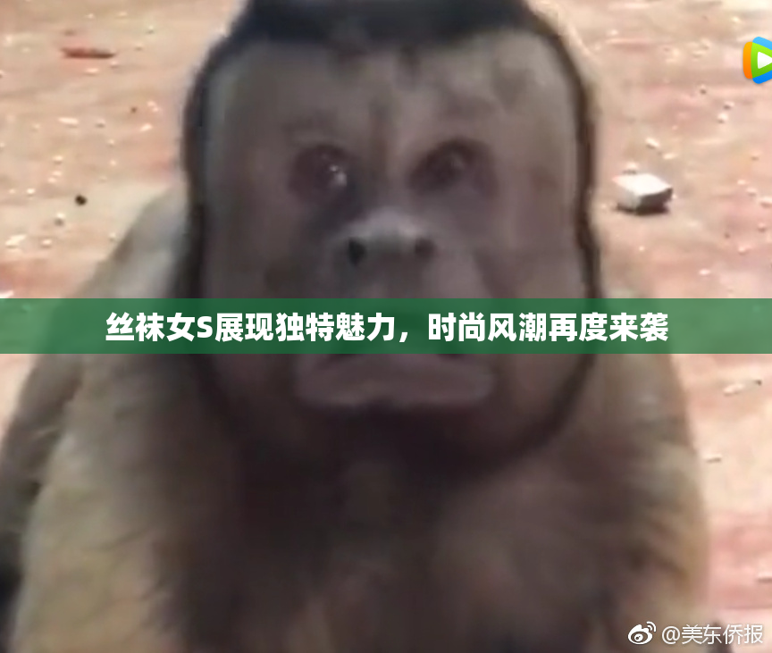 丝袜女S展现独特魅力，时尚风潮再度来袭
