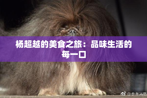 杨超越的美食之旅：品味生活的每一口