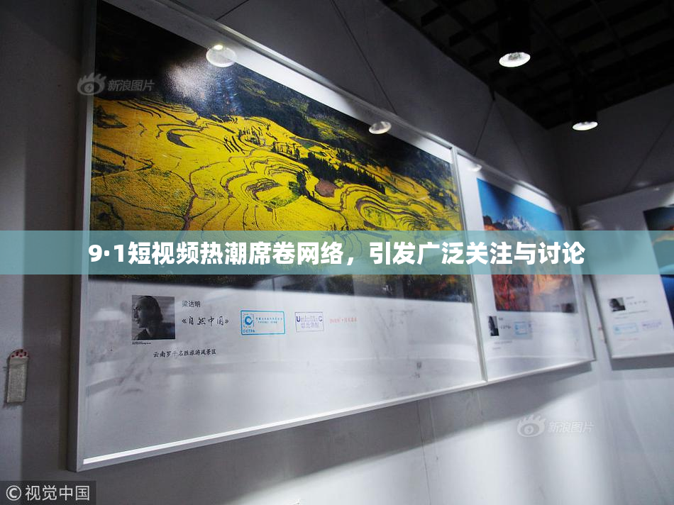 9·1短视频热潮席卷网络，引发广泛关注与讨论