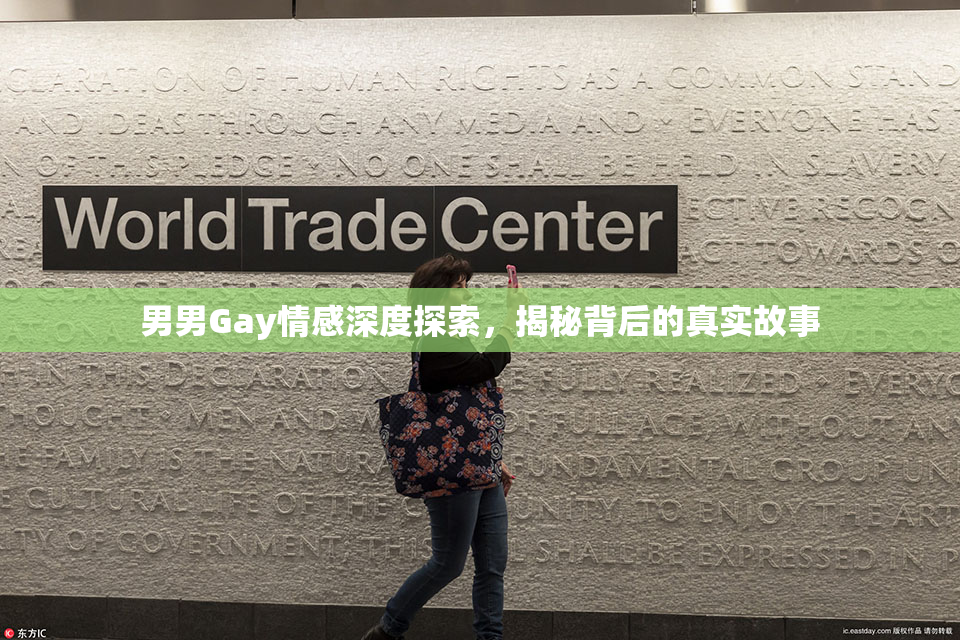 男男Gay情感深度探索，揭秘背后的真实故事