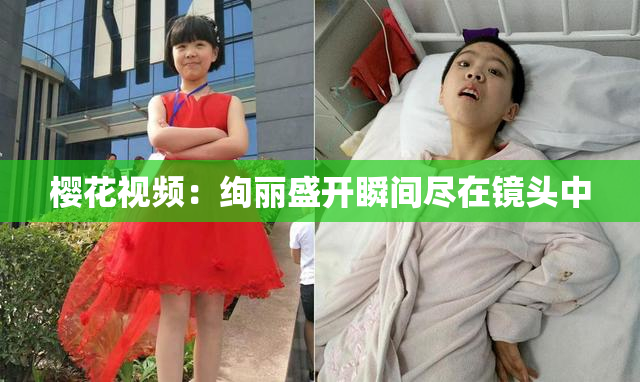 樱花视频：绚丽盛开瞬间尽在镜头中