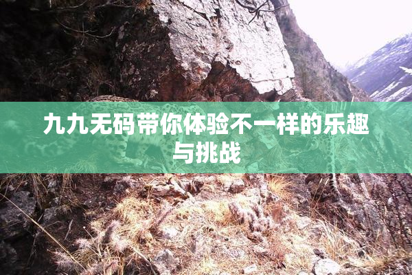 九九无码带你体验不一样的乐趣与挑战
