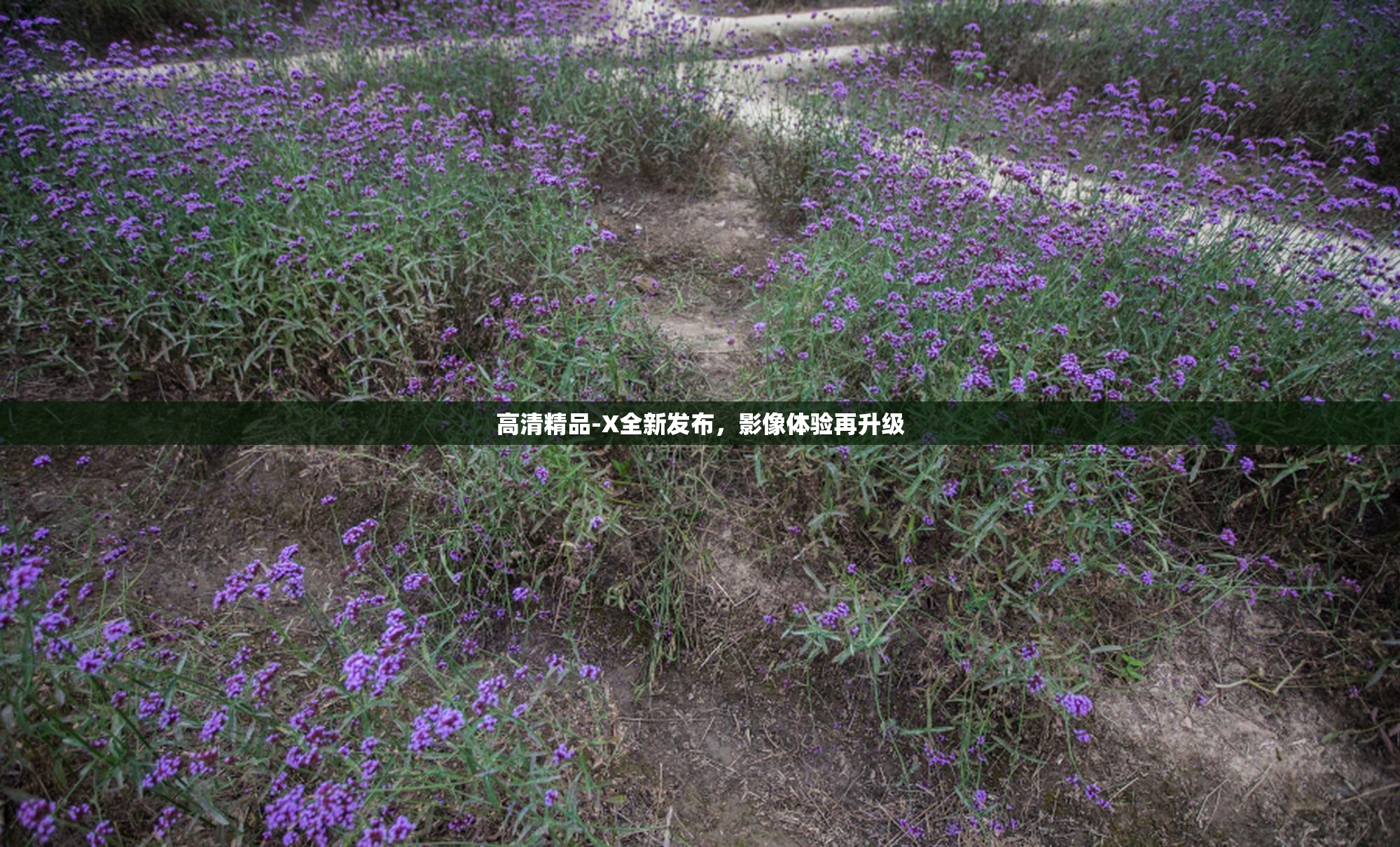 高清精品-X全新发布，影像体验再升级