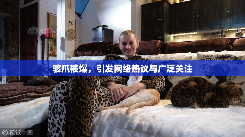 骇爪被爆，引发网络热议与广泛关注
