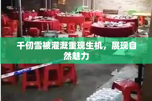 千仞雪被灌溉重现生机，展现自然魅力
