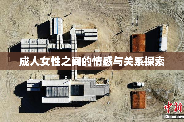 成人女性之间的情感与关系探索