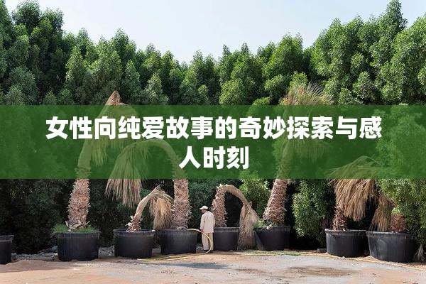 女性向纯爱故事的奇妙探索与感人时刻