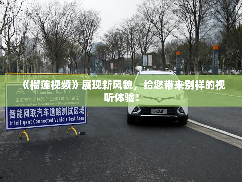 《榴莲视频》展现新风貌，给您带来别样的视听体验！