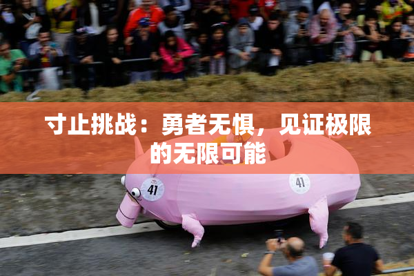 寸止挑战：勇者无惧，见证极限的无限可能