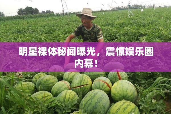 明星裸体秘闻曝光，震惊娱乐圈内幕！