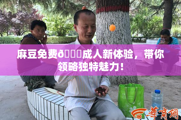 麻豆免费🔞成人新体验，带你领略独特魅力！
