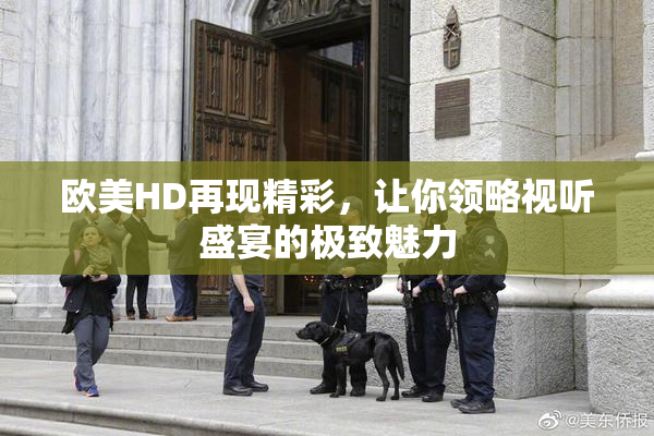 欧美HD再现精彩，让你领略视听盛宴的极致魅力
