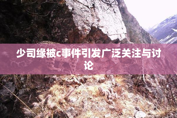 少司缘被c事件引发广泛关注与讨论
