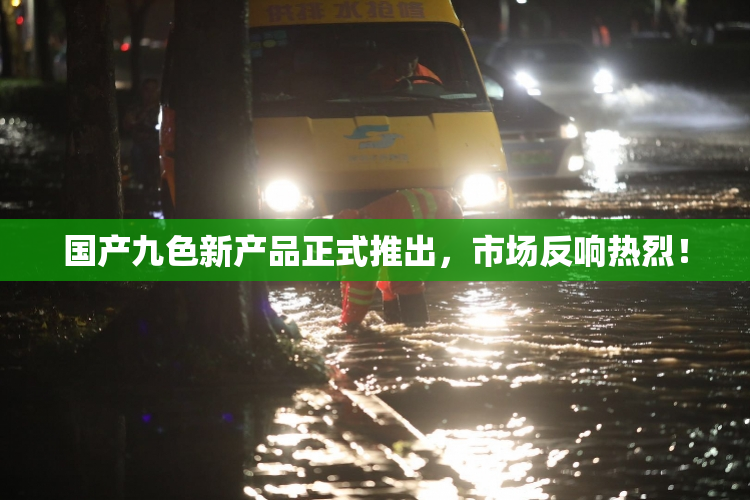 国产九色新产品正式推出，市场反响热烈！