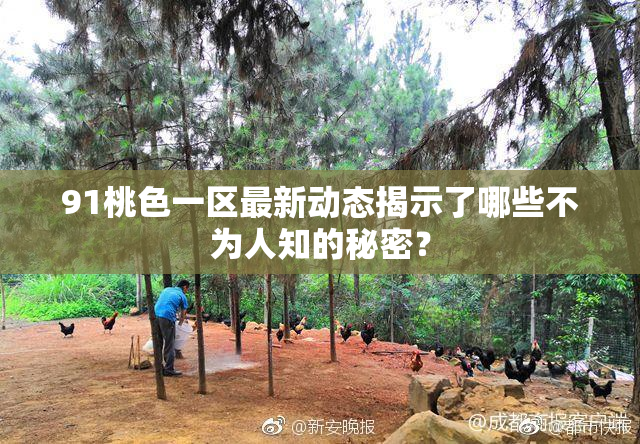 91桃色一区最新动态揭示了哪些不为人知的秘密？