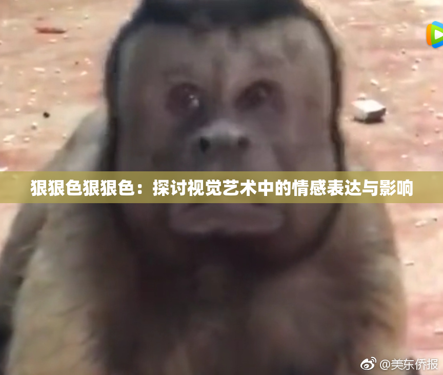 狠狠色狠狠色：探讨视觉艺术中的情感表达与影响