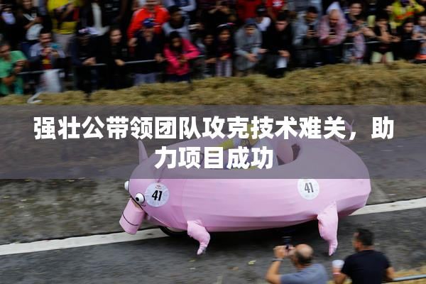 强壮公带领团队攻克技术难关，助力项目成功