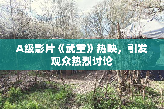 A级影片《武重》热映，引发观众热烈讨论