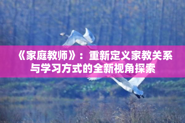 《家庭教师》：重新定义家教关系与学习方式的全新视角探索