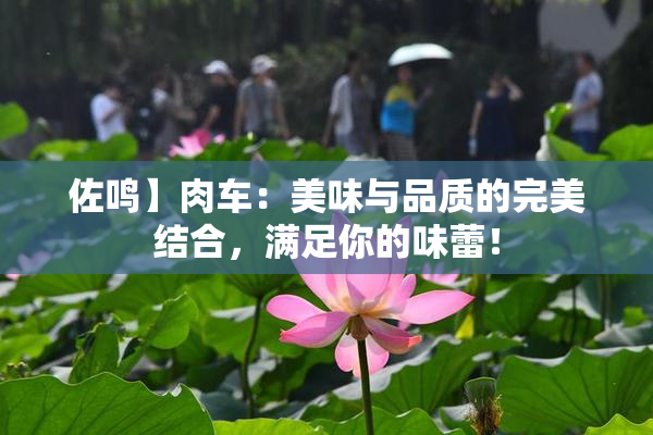 佐鸣】肉车：美味与品质的完美结合，满足你的味蕾！