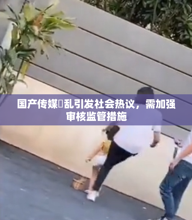 国产传媒婬乱引发社会热议，需加强审核监管措施