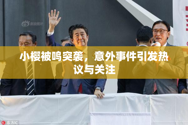 小樱被鸣突袭，意外事件引发热议与关注