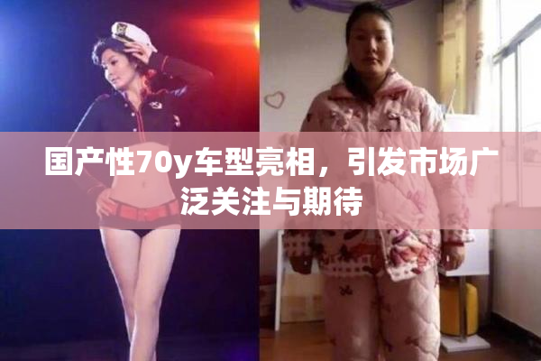国产性70y车型亮相，引发市场广泛关注与期待