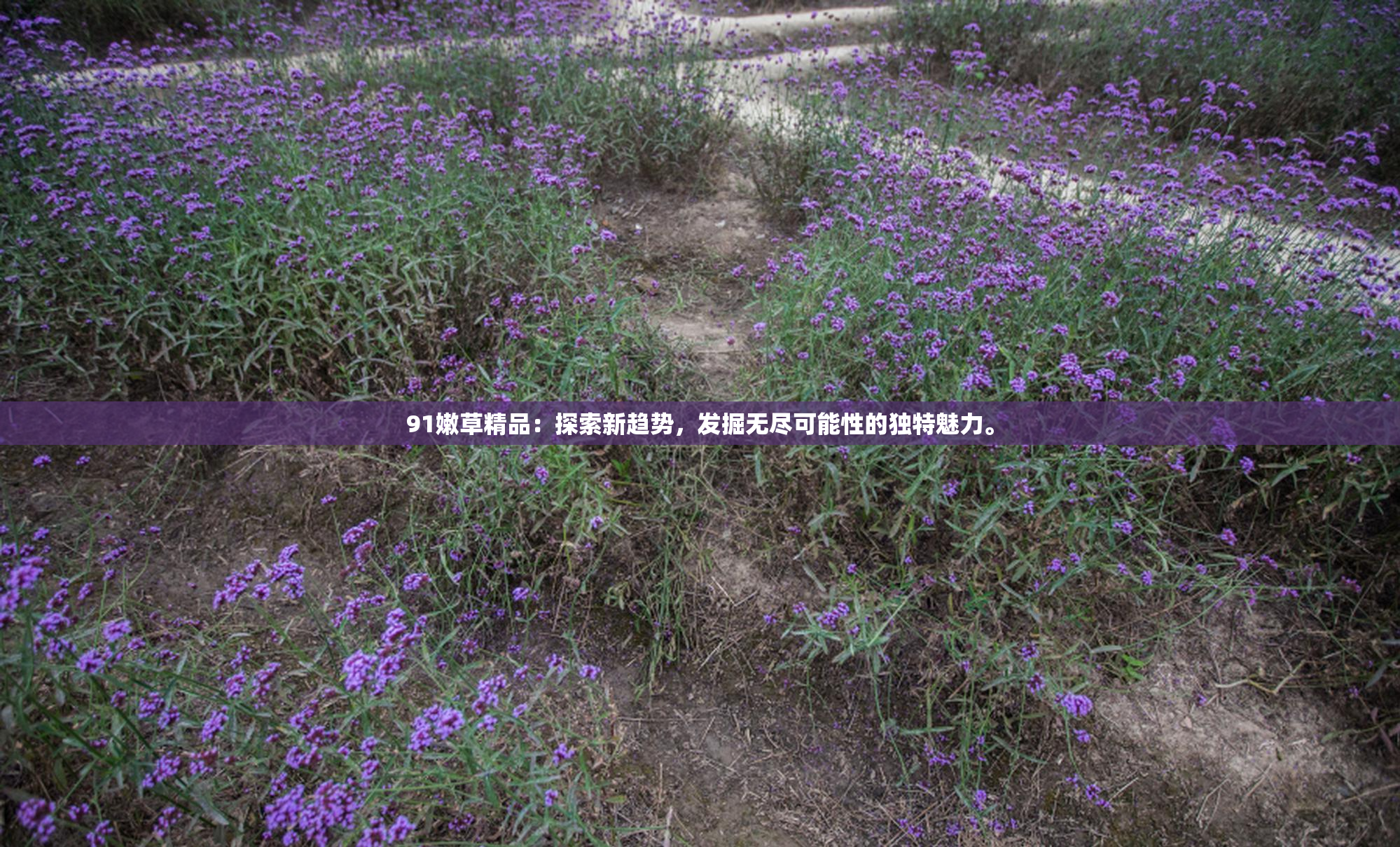 91嫩草精品：探索新趋势，发掘无尽可能性的独特魅力。