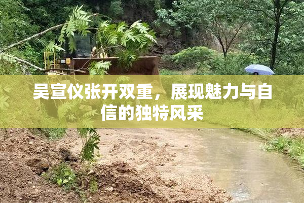 吴宣仪张开双重，展现魅力与自信的独特风采