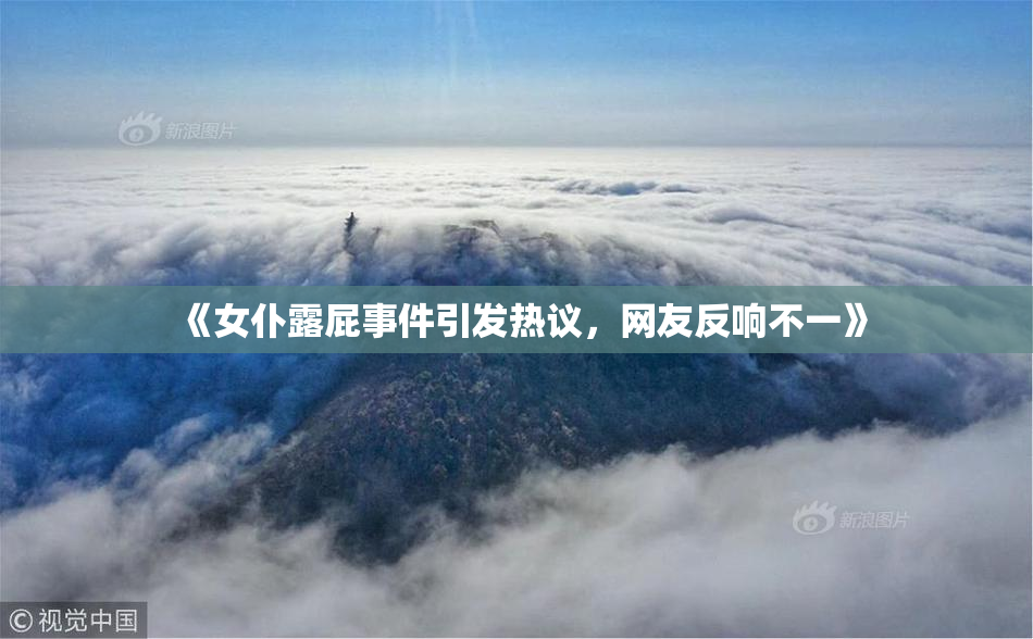 《女仆露屁事件引发热议，网友反响不一》