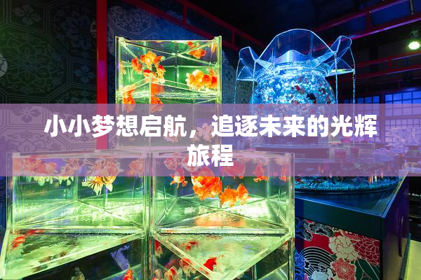 小小梦想启航，追逐未来的光辉旅程