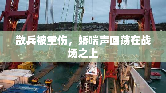 散兵被重伤，娇喘声回荡在战场之上