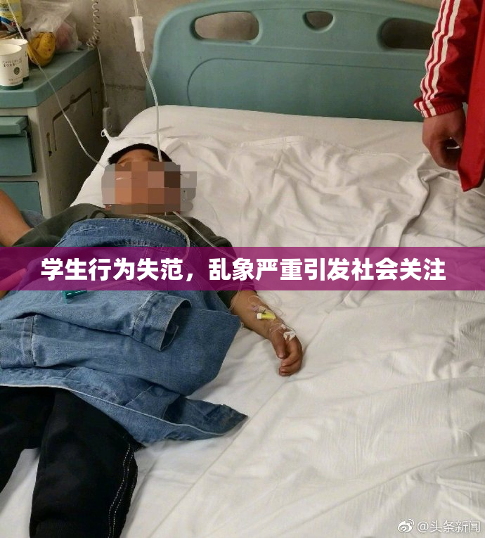 学生行为失范，乱象严重引发社会关注