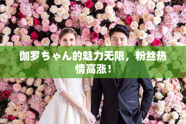 伽罗ちゃん的魅力无限，粉丝热情高涨！