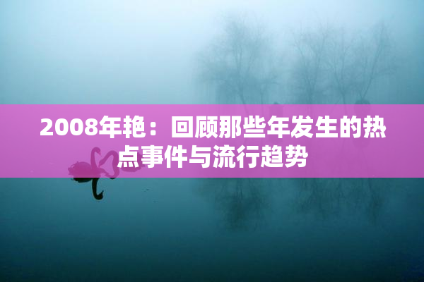 2008年艳：回顾那些年发生的热点事件与流行趋势