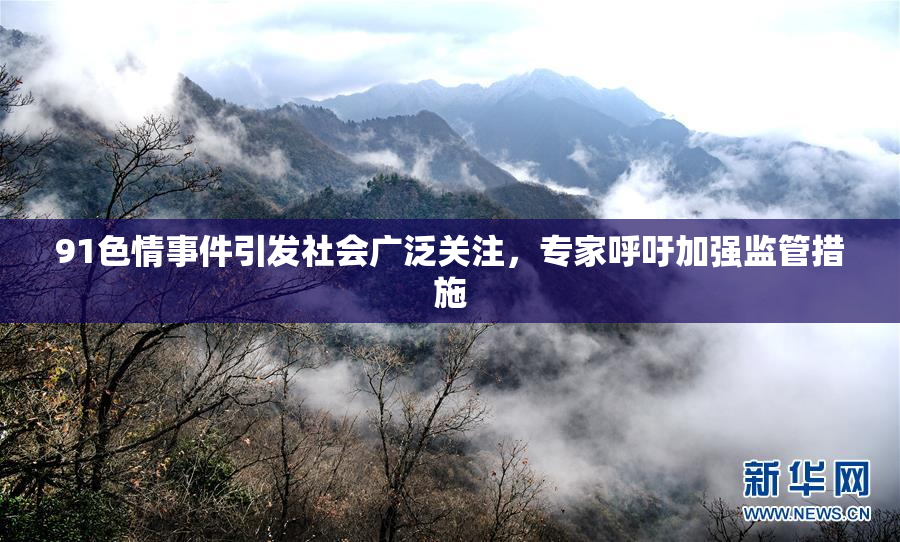 91色情事件引发社会广泛关注，专家呼吁加强监管措施
