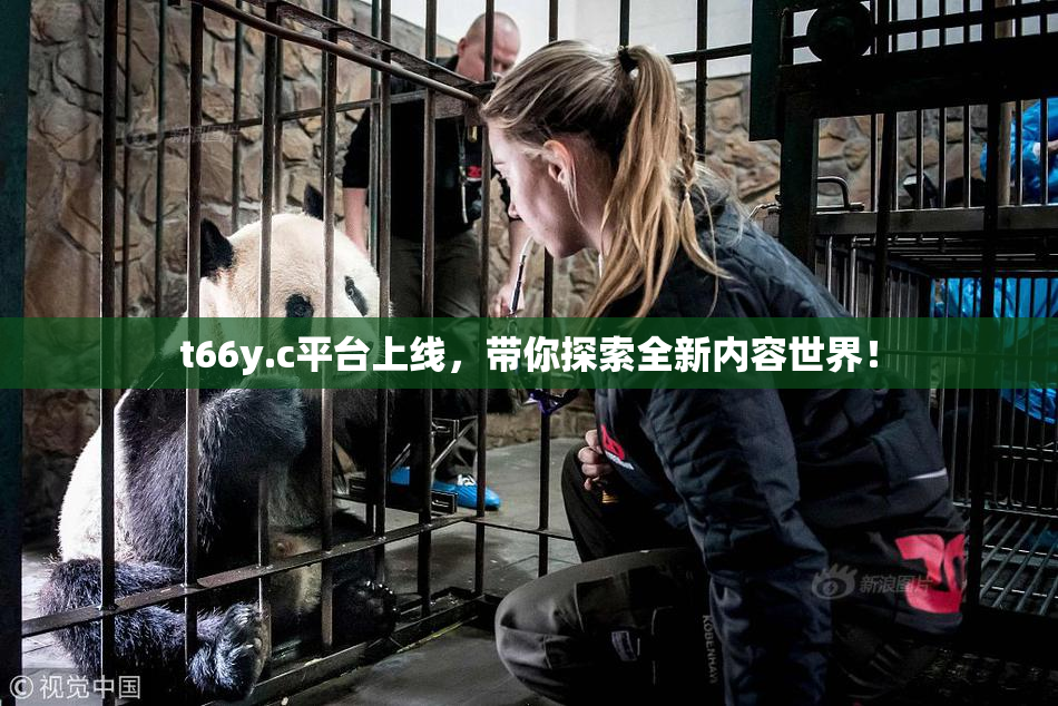 t66y.c平台上线，带你探索全新内容世界！