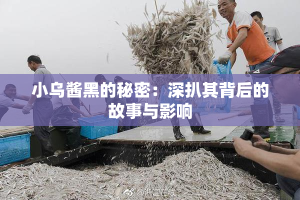小乌酱黑的秘密：深扒其背后的故事与影响