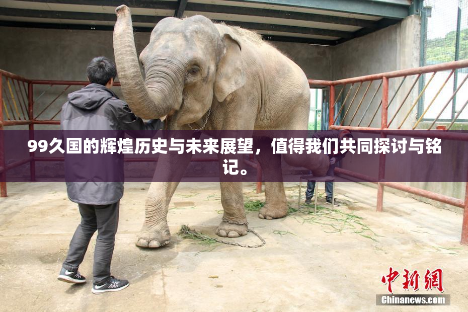 99久国的辉煌历史与未来展望，值得我们共同探讨与铭记。