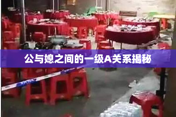 公与媳之间的一级A关系揭秘