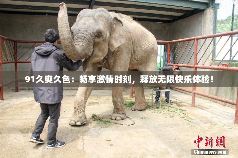 91久爽久色：畅享激情时刻，释放无限快乐体验！