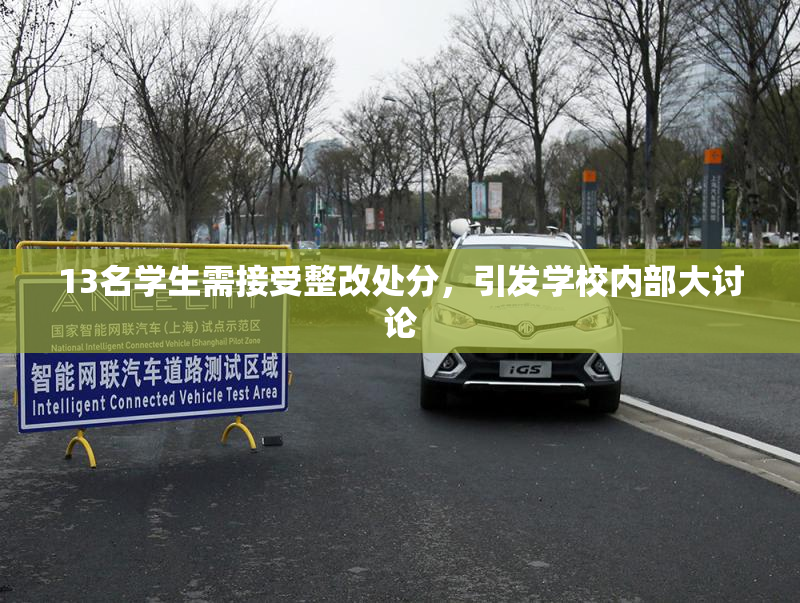 13名学生需接受整改处分，引发学校内部大讨论