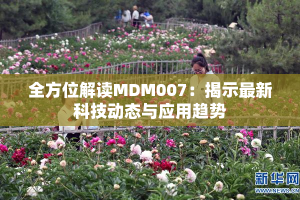 全方位解读MDM007：揭示最新科技动态与应用趋势