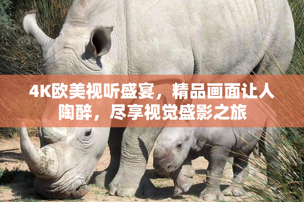 4K欧美视听盛宴，精品画面让人陶醉，尽享视觉盛影之旅