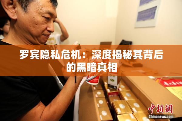 罗宾隐私危机：深度揭秘其背后的黑暗真相