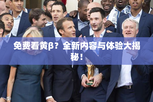 免费看黄β？全新内容与体验大揭秘！