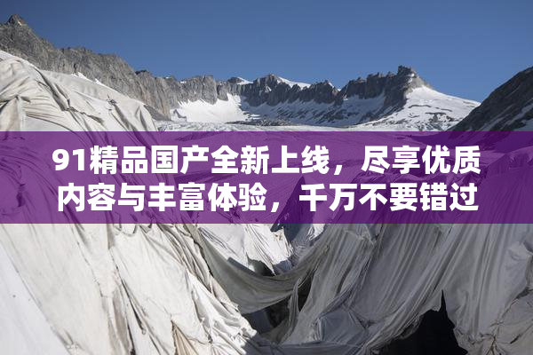 91精品国产全新上线，尽享优质内容与丰富体验，千万不要错过！