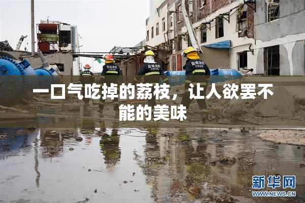 一口气吃掉的荔枝，让人欲罢不能的美味